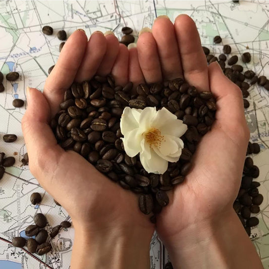 Coffee – much more than just a drink