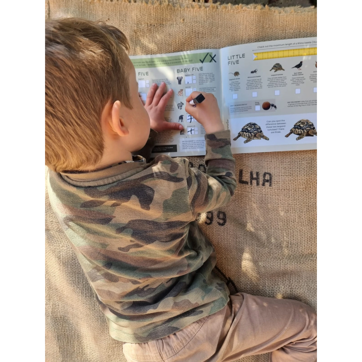 Safari & Me Activity Book