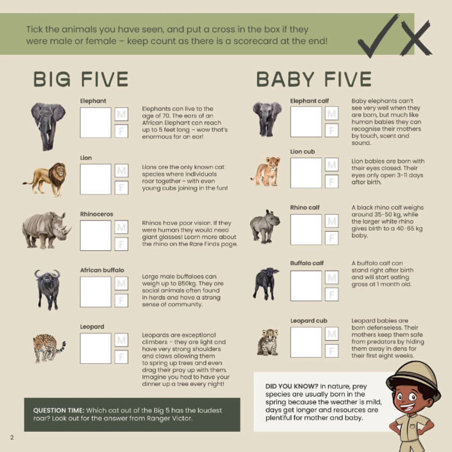 Safari & Me Activity Book