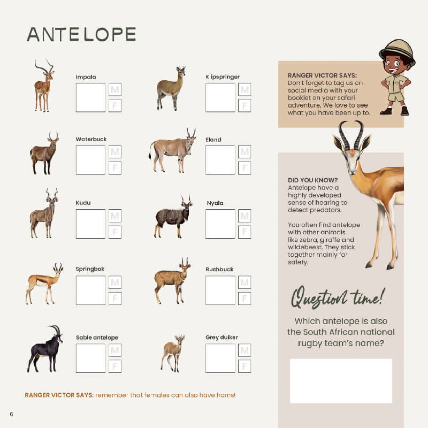 Safari & Me Activity Book