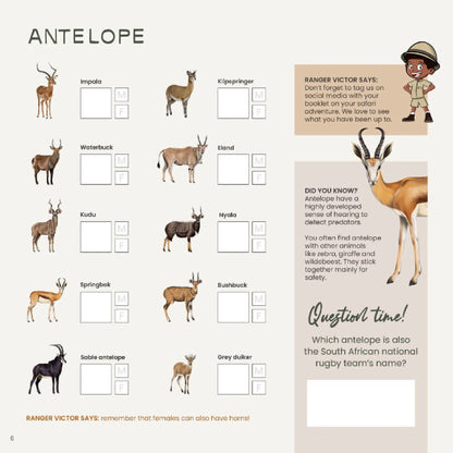 Safari & Me Activity Book
